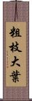 粗枝大葉 Scroll