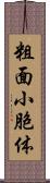 粗面小胞体 Scroll