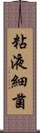 粘液細菌 Scroll