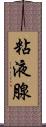 粘液腺 Scroll