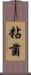粘菌 Scroll