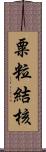 粟粒結核 Scroll