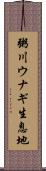粥川ウナギ生息地 Scroll