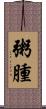 粥腫 Scroll