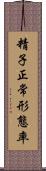精子正常形態率 Scroll