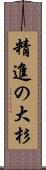 精進の大杉 Scroll