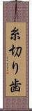 糸切り歯 Scroll