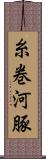 糸巻河豚 Scroll