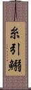 糸引鰯 Scroll