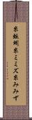 糸蚯蚓 Scroll