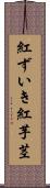 紅ずいき Scroll