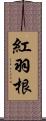 紅羽根 Scroll