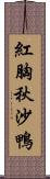 紅胸秋沙鴨 Scroll