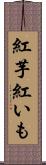 紅芋 Scroll