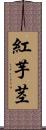 紅芋茎 Scroll