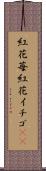 紅花苺 Scroll