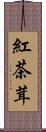 紅茶茸 Scroll