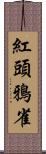 紅頭鴉雀 Scroll