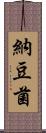 納豆菌 Scroll