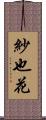 紗也花 Scroll