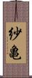 紗亀 Scroll