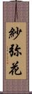 紗弥花 Scroll