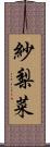 紗梨菜 Scroll