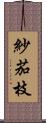 紗茄枝 Scroll