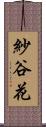 紗谷花 Scroll