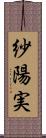 紗陽実 Scroll