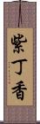 紫丁香 Scroll