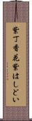 紫丁香花 Scroll