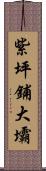 紫坪鋪大壩 Scroll