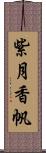 紫月香帆 Scroll