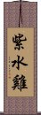 紫水雞 Scroll