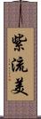 紫流美 Scroll