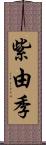 紫由季 Scroll