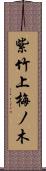 紫竹上梅ノ木 Scroll