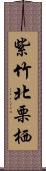 紫竹北栗栖 Scroll