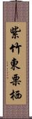 紫竹東栗栖 Scroll