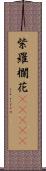 紫羅欄花(ateji) Scroll