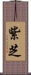 紫芝 Scroll