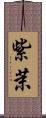 紫茉 Scroll
