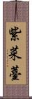 紫菜薹 Scroll