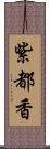 紫都香 Scroll