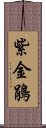 紫金鵑 Scroll