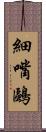 細嘴鷗 Scroll