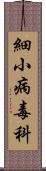 細小病毒科 Scroll