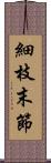 細枝末節 Scroll