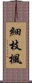 細枝楓 Scroll